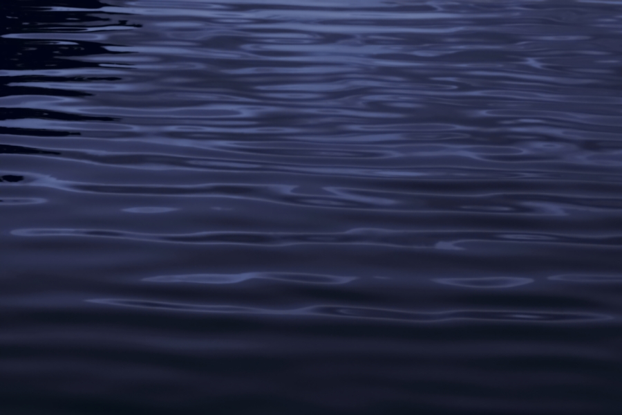 2011 05 11 IMG 31411ebw